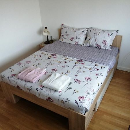 Super Central & Panoramic Nick'S Apartment 普里什蒂纳 外观 照片